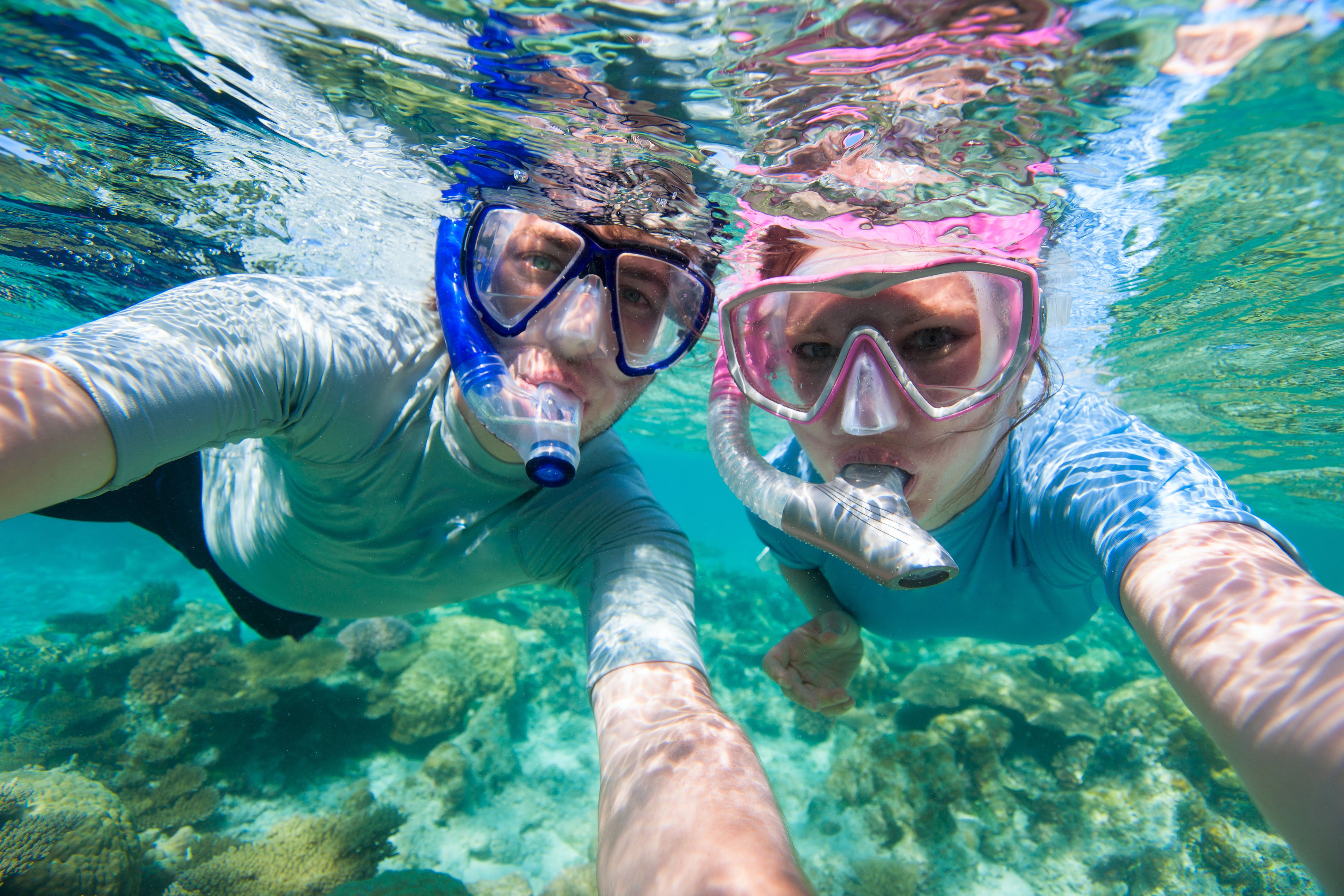 tours whitsundays snorkeling